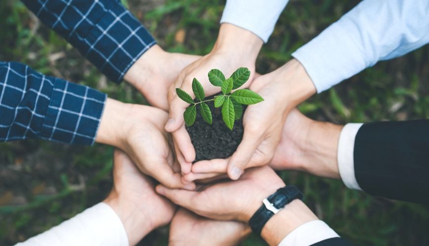 Società cooperative