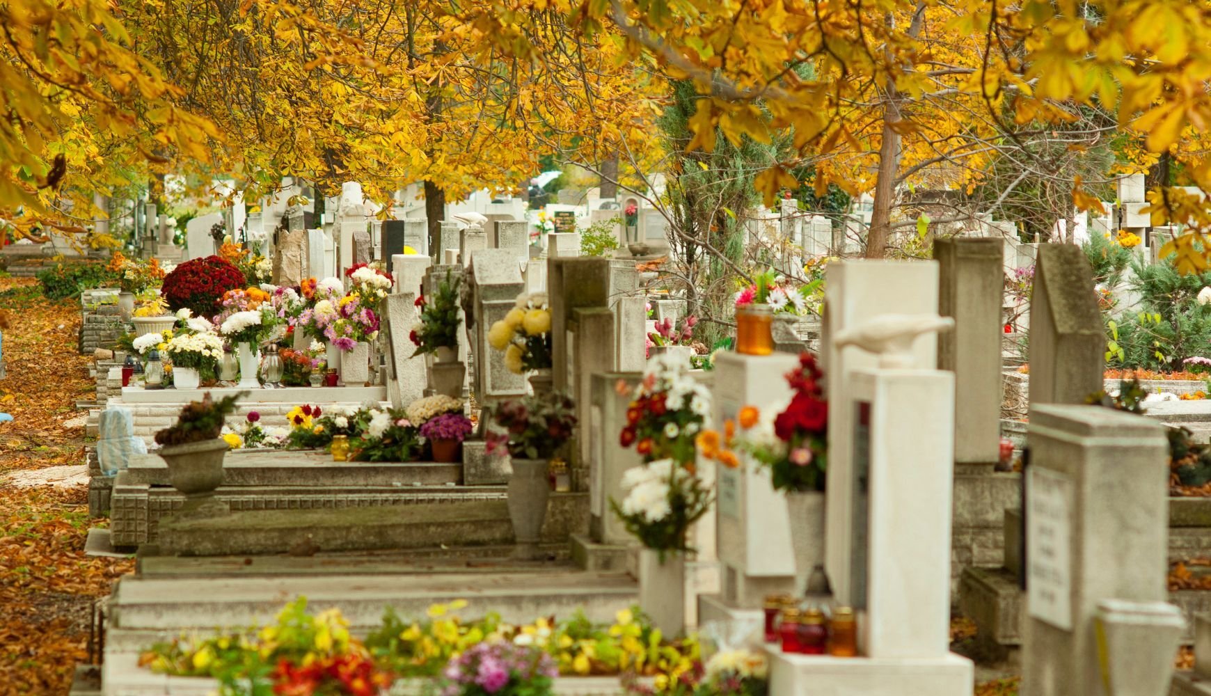 servizi-cimiteriali servizi-cimiteriali